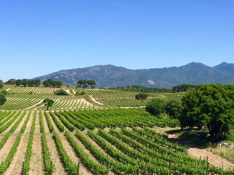What to Do in the Costa Brava For Wine Lovers